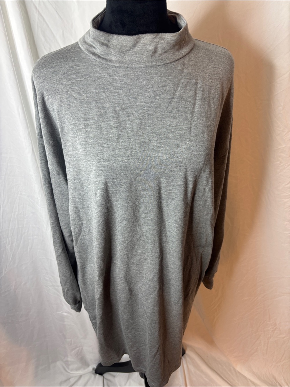 Express Long Sleeve Gray Turtleneck Dress